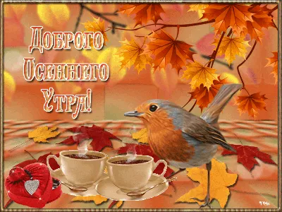 Осенние открытки \"С Добрым Утром!\" (255 шт.)