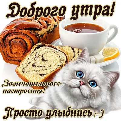 Красивая открытка «С добрым осенним утром и хорошим днём» • Аудио от  Путина, голосовые, музыкальные