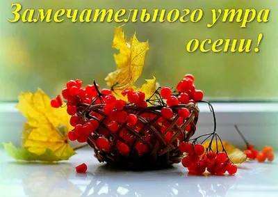 🌞 С добрым осенним утром! 🍁 | Поздравления, пожелания, открытки с Новым  годом! | ВКонтакте