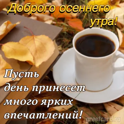 С добрым осенним утром! - Осень /Autumn - GIF АНИМАЦИЯ - Анимация - Страна  красоты Gif | Доброе утро, Святой дух, Анимация