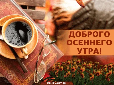 Смешное доброе осеннее утро - 60 фото