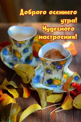С добрым осенним утром понедельника -новые картинки (31 ФОТО)