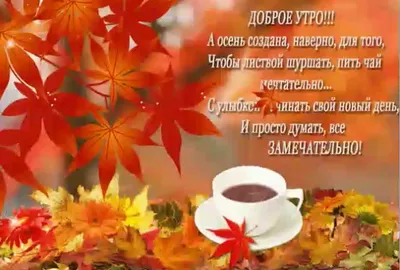 baskova_art podolog SUMY - С добрым осенним утром😘😘😘 | Facebook