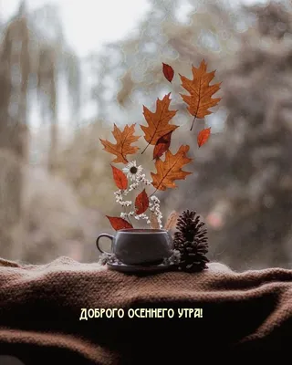 Доброе осеннее утро (425 картинок и открыток)