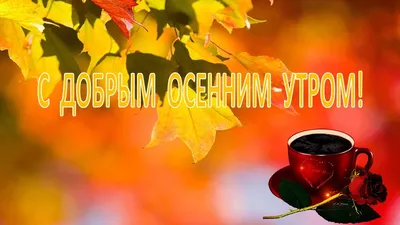 🍁 ⛅ ☕ С добрым осенним утром картинки. + 100 картинок! | Осень, Доброе утро,  Открытки