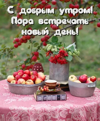 🍁 ⛅ ☕ Картинки С добрым осенним утром - скачать (240 шт.)