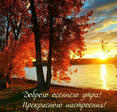 Осенние картинки \"Доброго утра!\" (357 шт.)