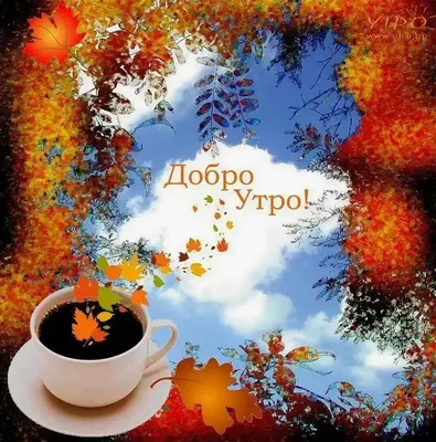 Осенние открытки доброго утра - самые красивые картинки для мотивации и  хорошего настроения