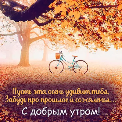 Картинка \"С Добрым осенним утром!\", с тёплыми словами • Аудио от Путина,  голосовые, музыкальные
