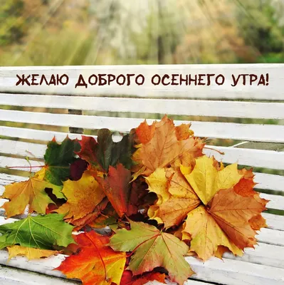 Открытки \"Доброго утра!\" осенью (500+)