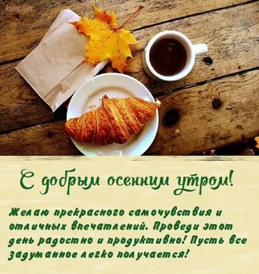 С добрым осенним утром🍂🍂🍂 | Осень, Веселые картинки, Открытки