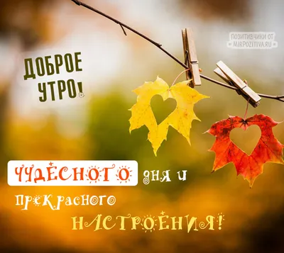С Добрым Осенним Утром! Пусть день будет солнечным и теплым! Красивая  песня! - YouTube
