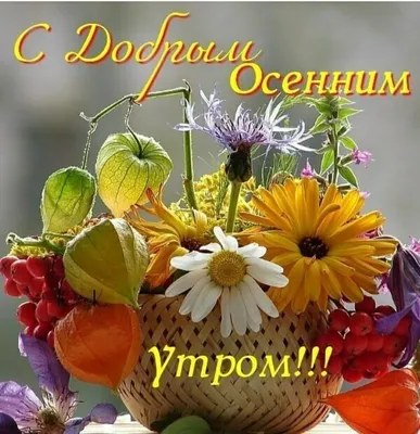 Картинка - С добрым осенним утром (Доброе осеннее утро) скачать