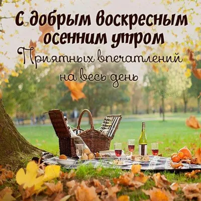 Пин от пользователя Snitko Vladislav на доске недiля - Sunday | Открытки,  Осень, Милые открытки