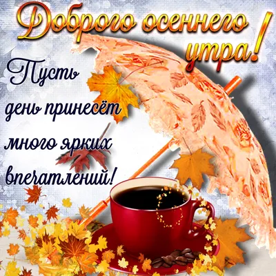 🌞 С добрым осенним утром! 🍁 | Поздравления, пожелания, открытки |  ВКонтакте
