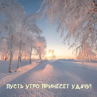 Доброе Снежное утро - 68 фото