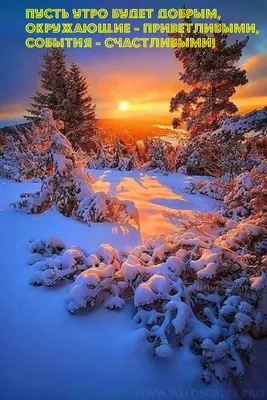 Яркие открытки с добрым зимним утром (42 фото)