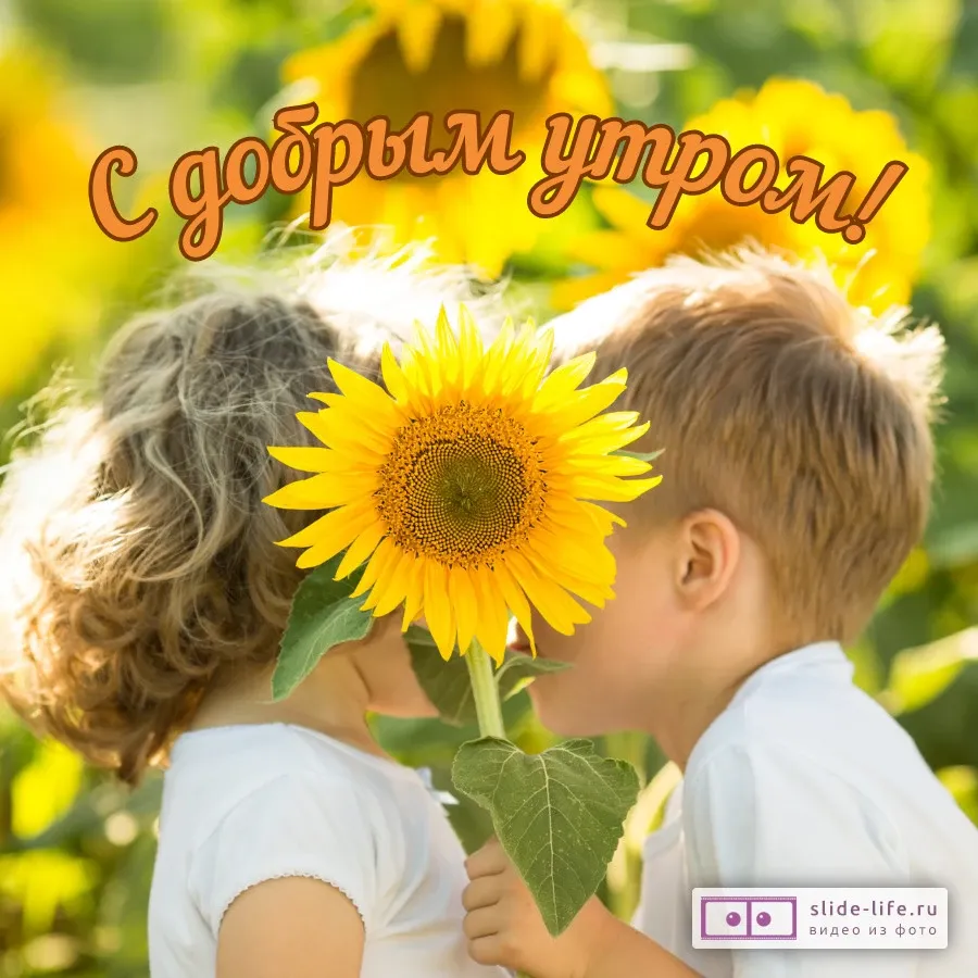 С Добрым Утром! 7 НОЯБРЯ. #пожеланиясдобрымутром #доброеутро #доброеут... |  TikTok
