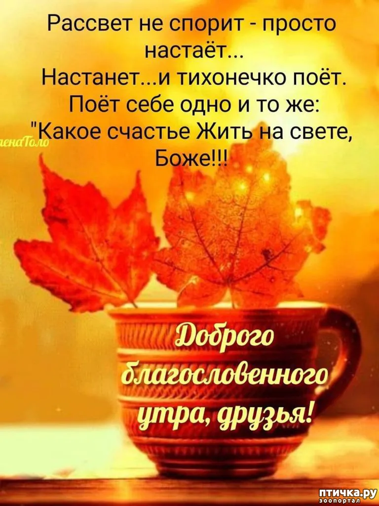 Открытки с добрым утром - скачайте на Davno.ru. Страница 4