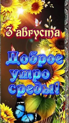 Картинка: С добрым утром августа!