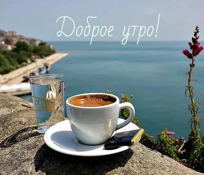Картинки для друзей с пожеланием доброго утра и хорошего дня. | Доброе утро,  Кофе, Смешные цитаты о кофе