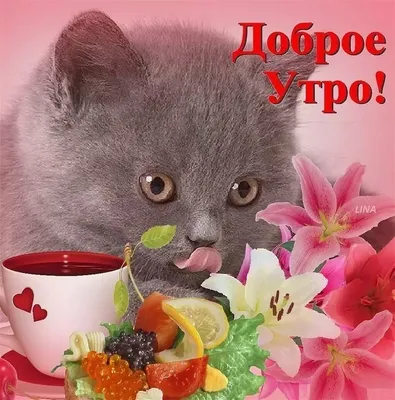 Может кофе? 😄 | Доброе утро, Кофе