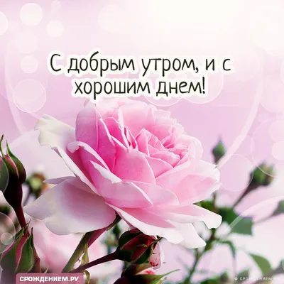 Нина Чесская - С Добрым Утром и с Хорошим Днем! | Facebook