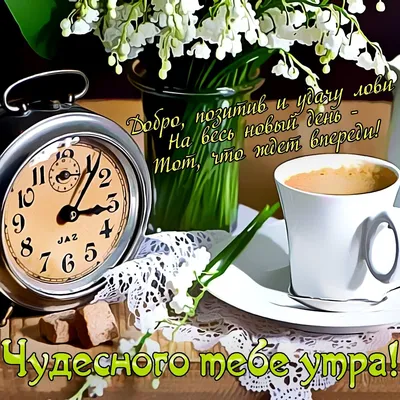 Картинки Гуд Монинг, Good Morning. Открытки доброе утро на английском -  QWIZZ - загадки, ребусы, статусы, открытки