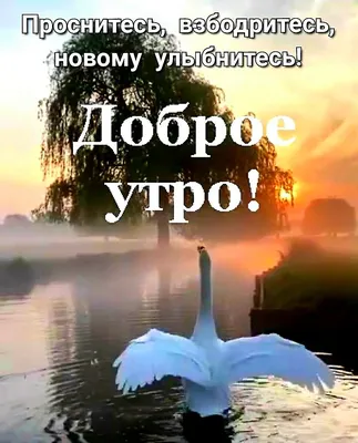 Красивая картинка с закатом солнца на море - поздравляйте бесплатно на  otkritochka.net