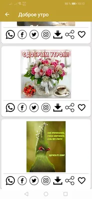 FunFlowers.lv - Витамины утром незаменимы💜С добрым утром,дорогие✨. 🔸  Сделать заказ ⬇️⬇️⬇️. 📞/WhatsApp +37120018700 🏡 Riga, Brivibas iela 78  🚁доставка в течении дня  #funflowers_riga#букетдня#анемоны#витаминынезаменимы#коробочкассюрпризом ...