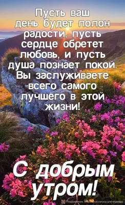 🌸С добрым утром 🌸 Весь город цветёт, природа пробуждается✨ Direct или  WhatsApp +7 984 159 54 85 г.Владивосток… | Instagram
