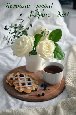 Доброе утро! 50 растительных завтраков, которые ждешь с вечера | Туманова  Наталья Юрьевна - купить с доставкой по выгодным ценам в интернет-магазине  OZON (282469177)