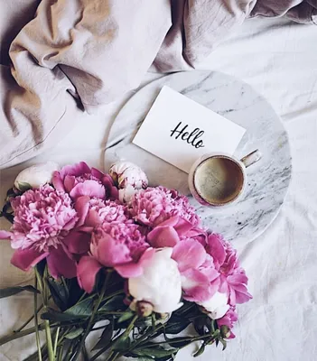 Пин от пользователя Yulia Lisnyak на доске С добрым утром | Маки цветы,  Цветочные фоны, Праздничные открытки