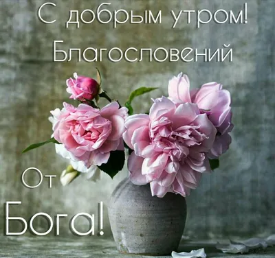 Букет цветов \"С добрым утром\" в коробке за 10 590 руб. | Бесплатная  доставка цветов по Москве
