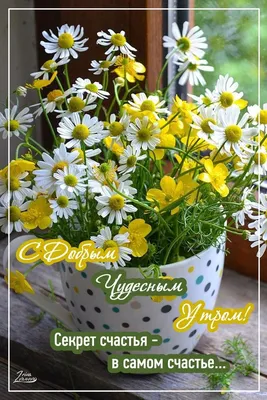 Épinglé par Лёля Galustyan sur Пожелания с добрым утром | Bouquet de fleurs  blanches, Photographie de fleur, Fleurs blanches