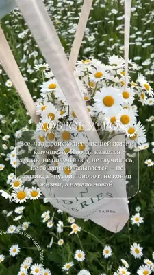 Создать мем \"пожелания доброго утра, полевые цветы, букет полевых цветов\" -  Картинки - Meme-arsenal.com