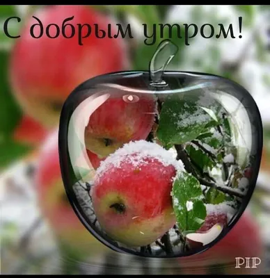 Pin by Светлана on Доброе утро | Fresh fruit, Fruit, Delicious fruit