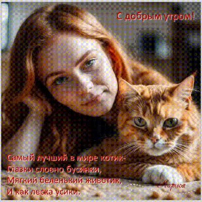 Светлана (@sotnik507)'s videos with Let's Twist Again - Chubby Checker |  TikTok