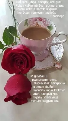 Мудрость жизни - Доброе Утро, друзья! Вкусного кофе!☕️ Добрых мыслей! Удачи  в дороге! Здоровья Вам и Вашим близким!🍁🍂 | Facebook