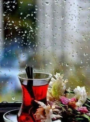 Ідеї на тему «Пожелания в дождливую погоду» (58) | доброго ранку, дощ,  листівки