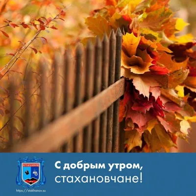 🍁Всем Доброго Утра ✌️ 🌞С добрым утром😊, с новым днем и пусть он будет  просто замечательным. ✌️ .. | ВКонтакте