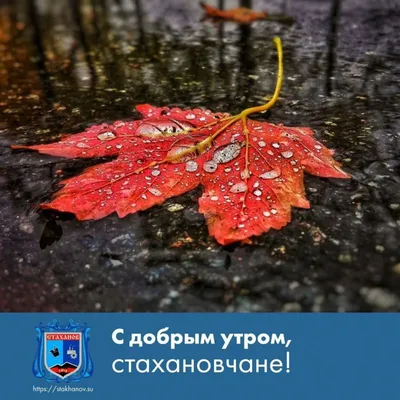 С добрым утром, Стаханов. Все новости ВКонтакте и в Telegram #Стаханов  #новости_Стаханова - Лента новостей ЛНР