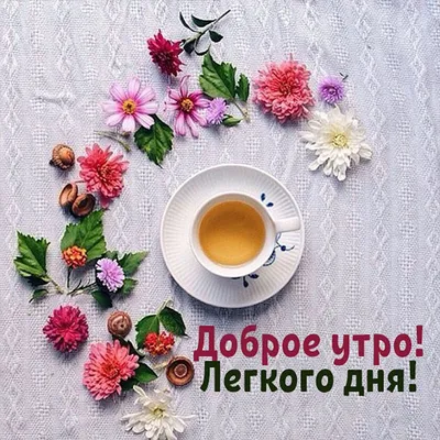Цветы в чашечках и милое пожелание с добрым утром