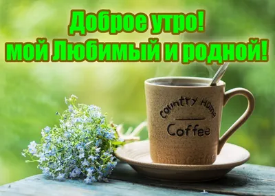 Прикольные картинки с добрым утром для мужчин: фото, юмор и улыбки! -  pictx.ru