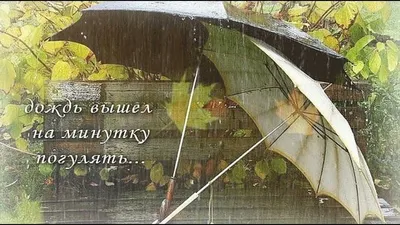 Картинки с дождливым утром и днем (46 фото) » Красивые картинки,  поздравления и пожелания - Lubok.club