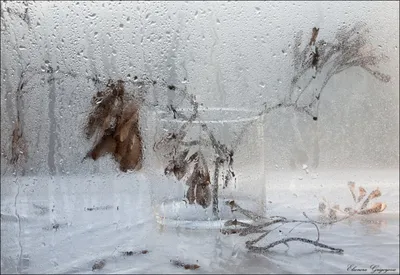 Картина художника Лариса Корженевская Дождливым днем в стиле Авангардизм  интернет магазин SwamiArt