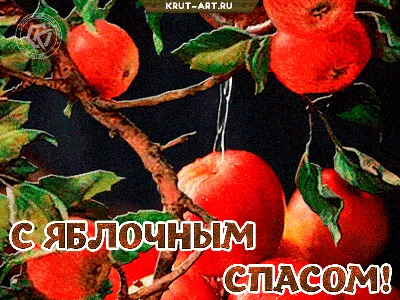 rus.161 on X: \"Всем, всем, всем, доброе утро, здравия, мира, добра !!!  https://t.co/bZuKvil3Ow\" / X