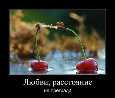 Как бы Да, но Нет - #любовь #юмор | Facebook