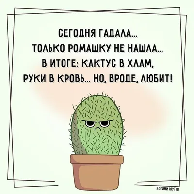 ЦИТАТЫ ЮМОР ЛЮБОВЬ КРАСОТА on Instagram: “#улыбка #жизнь #подруга  #друг#отношения #любовь” | Жизненный юмор, Юмор, Любовь