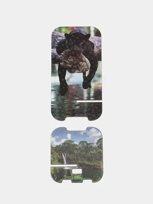 Плакат на холсте с изображением диких животных в джунглях, тигра, слона,  льва | AliExpress